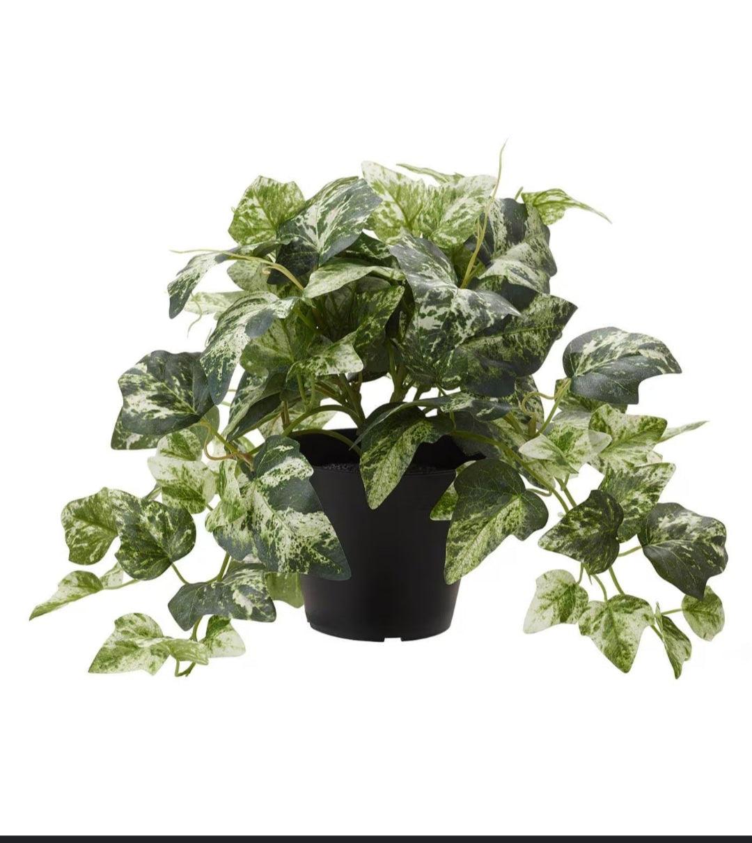 Ikea Fejka Plant