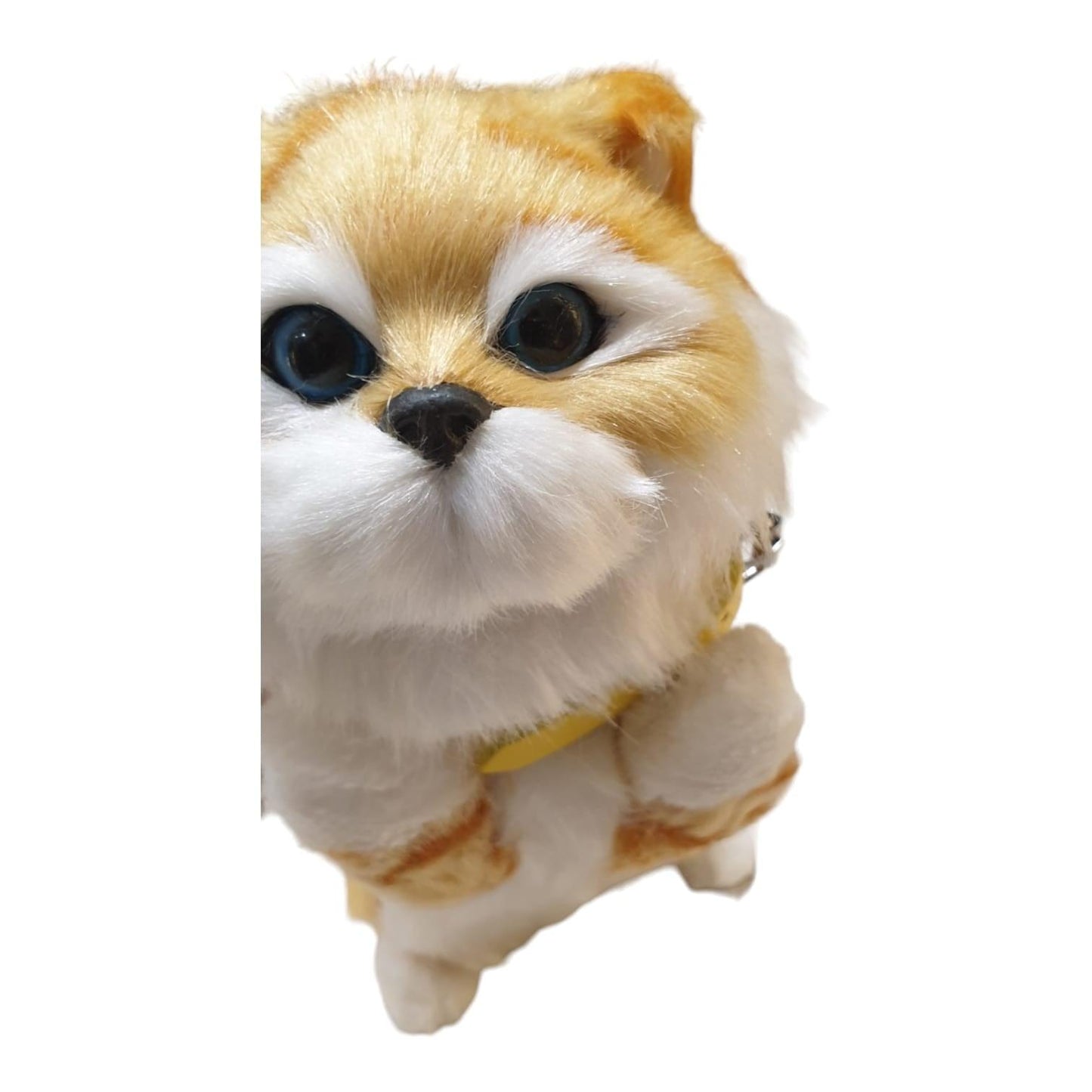 Cat Toy 1297