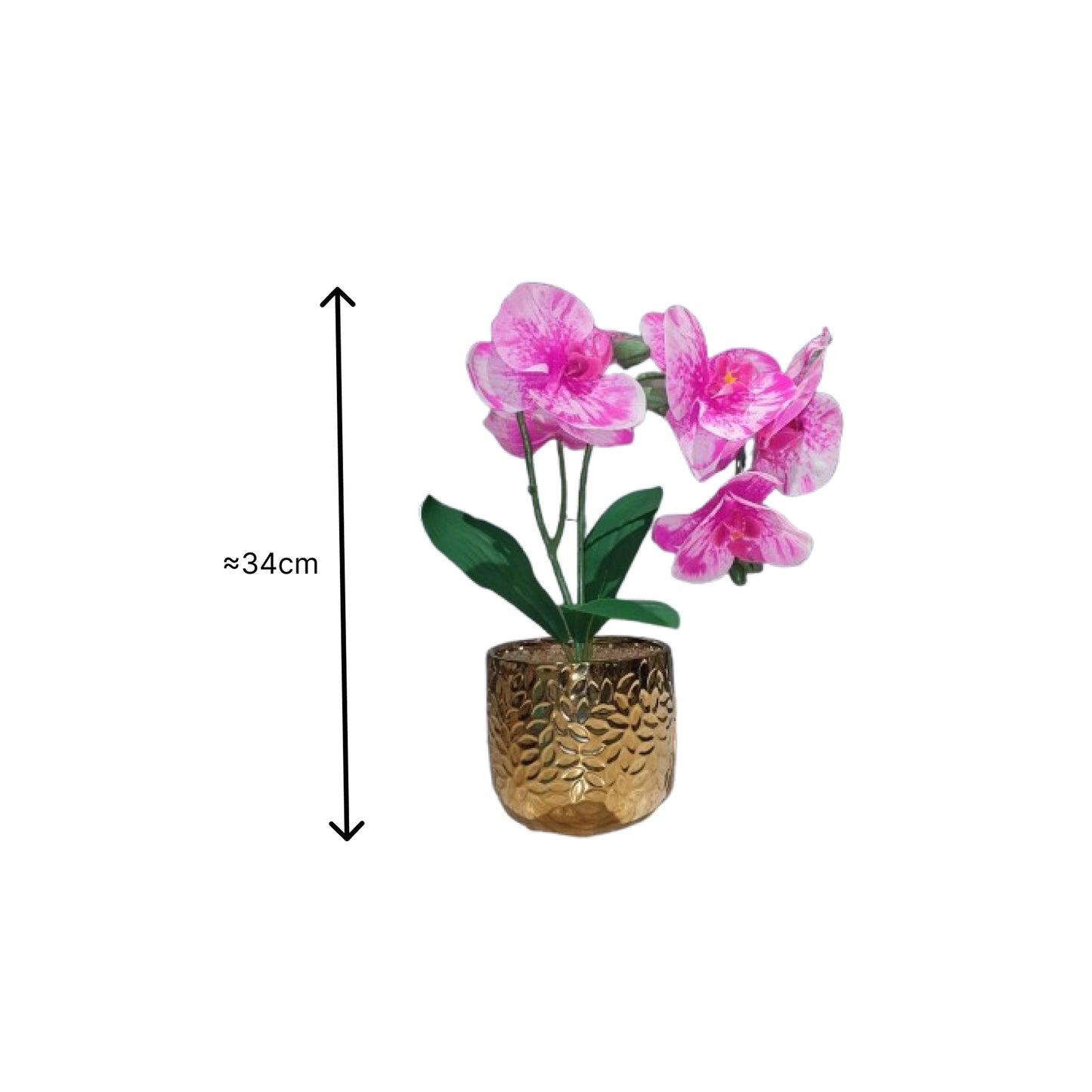 Plant Arcade Pink