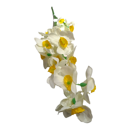 Daffodils Stem