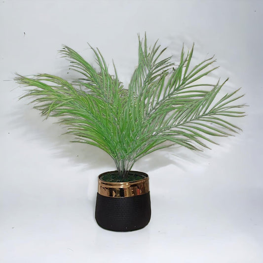 Fiber Pot Plant