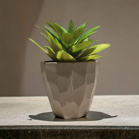 Gray Pot Plant