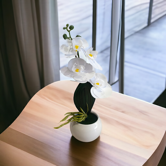 Flower Pot Chn