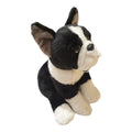 Dog 1548 Sparkles