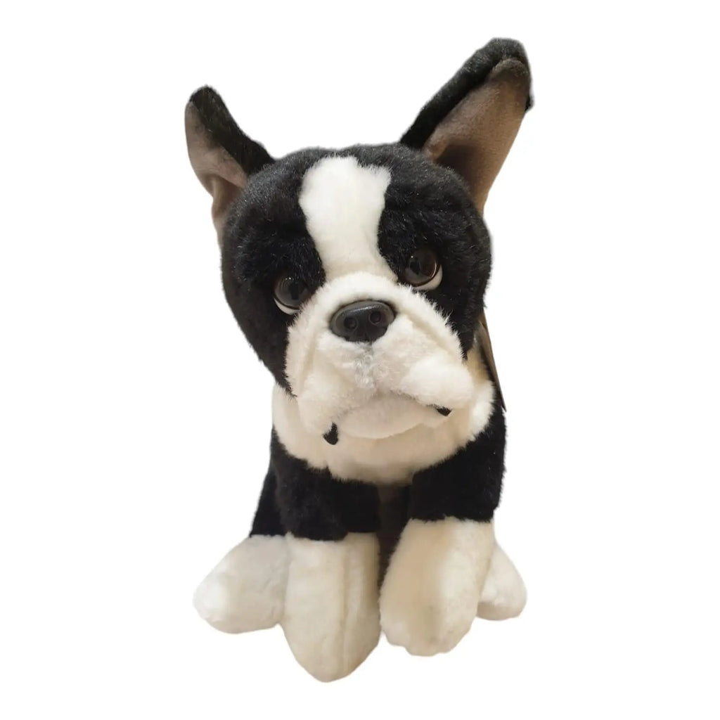Dog 1548 Sparkles