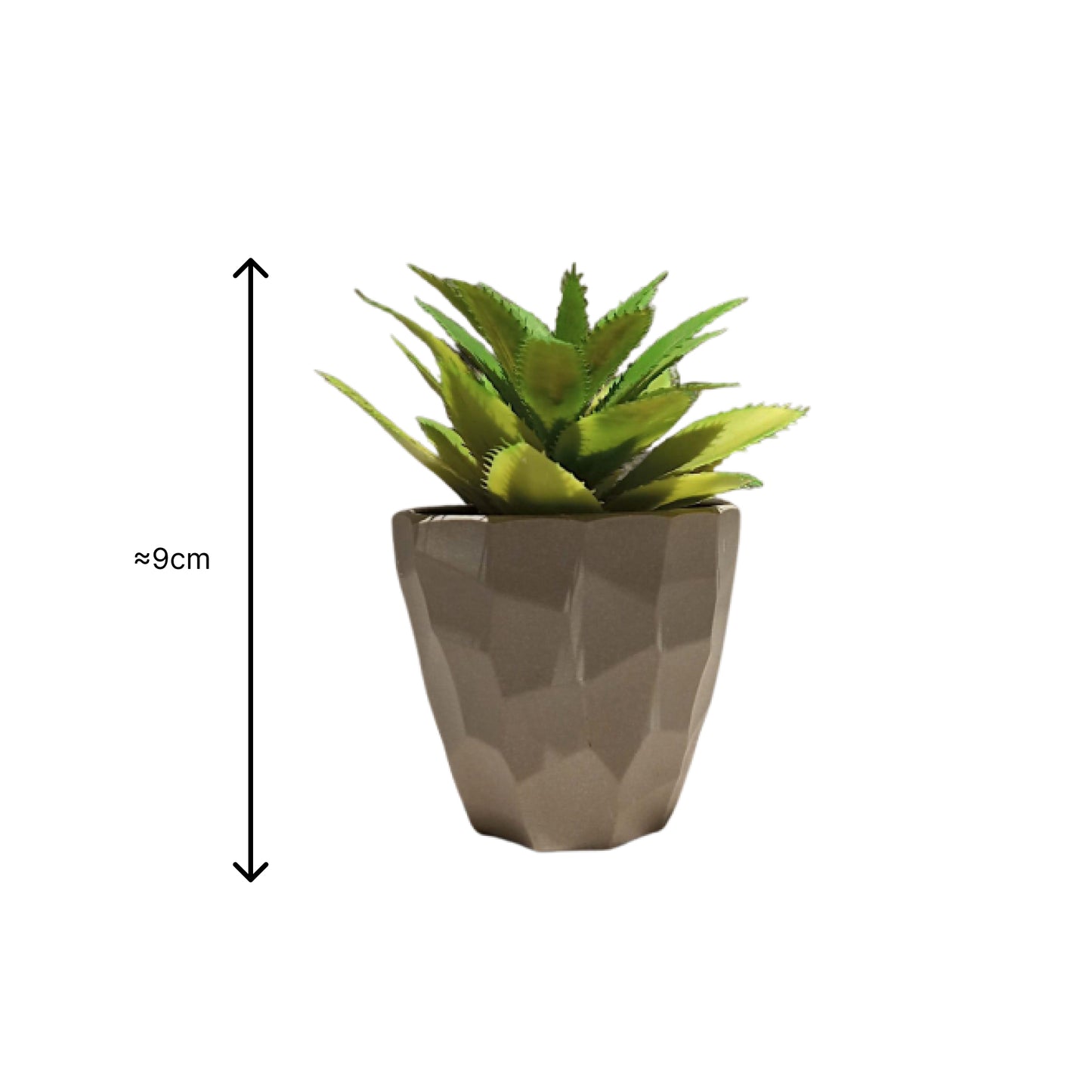 Gray Pot Plant